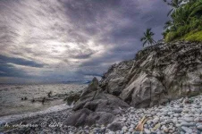 23541_620x.webp