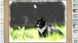 mFaE5IC.webp