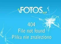 AshampooS_wqphhhq.webp AshampooS_wqphhhq.webp