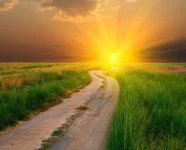 06b59a5911.webp