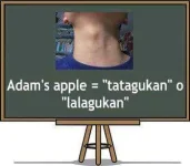 Filipino-translaion-of-Adams-apple-or-windpipe.webp
