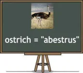 filipino-translation-of-ostrich.webp