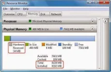 5.webp