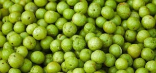 Side-Effects-Of-Amla-And-Who-Must-Not-Consume-It.webp