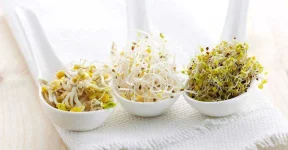 ts-The-Lively-Food-With-12-Amazing-Health-Benefits.webp ts-The-Lively-Food-With-12-Amazing-Health-Benefits.webp