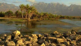 Socotra-Yemen.webp