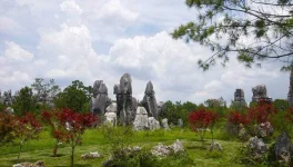 Stone-Forest-China.webp