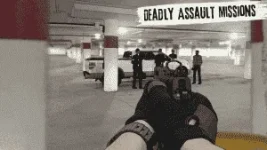 lonewolf-assaults.webp lonewolf-assaults.webp