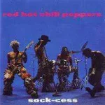Capa%2B-%2BSock-Cess.webp