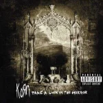 korn-take-a-look-in-the-mirror.webp