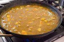 mango-chicken-curry-16.webp mango-chicken-curry-16.webp