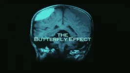 3the-butterfly-effect.webp