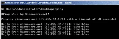 bping1-400x134.webp