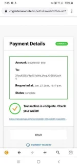 Screenshot_20210129-074549_CryptoTab Browser.webp
