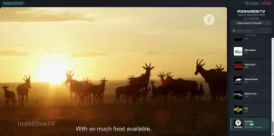 1758519812853.webp