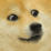 doge_zpseb2dq5bh.gif