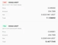 Screenshot_20210129-171835.webp