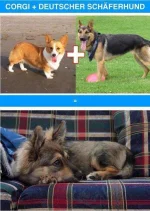 UlWyfzm.webp