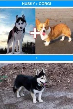 HEbQ2I6.webp