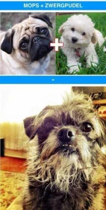 bBDvAY2.webp