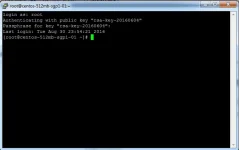 e295e3430ca94ee38417141b53359260.webp e295e3430ca94ee38417141b53359260.webp