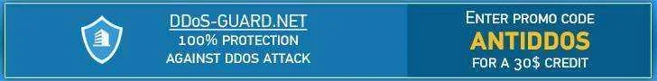 ddos-guard.webp