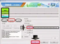 3.webp
