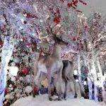 IMG_20161215_194947-150x150.webp