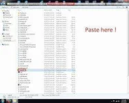 SF2.webp