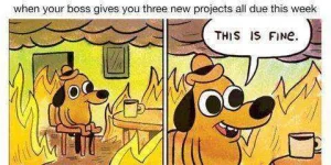 landscape-1473263733-this-is-fine.webp landscape-1473263733-this-is-fine.webp