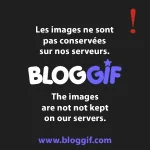 text.webp