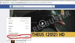 3.webp