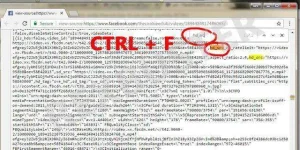4.webp