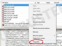 11.webp