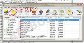 13.webp
