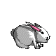 rabbit-jump-animated.gif