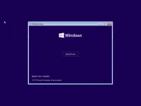36f0e1.webp