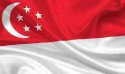 flag-singapore-16330373.webp