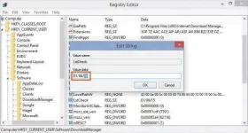 edit-idm-update-checker-value.webp