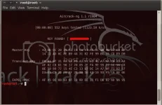 password-1.webp