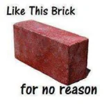 444679aabfce0b--hilarious-pictures-random-pictures.webp