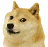 doge.webp