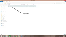 1.webp