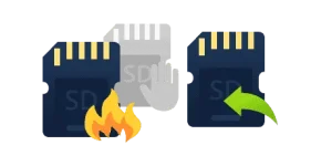 sd.webp sd.webp
