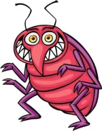 bedbug-clipart-RTG64oqTL.webp