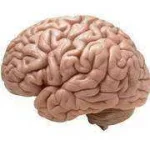 images_4.webp images_4.webp