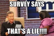 survey-says-thats-a-lie.webp