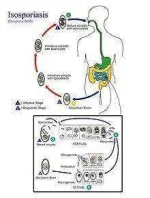 220px-PHIL_3398_lores.webp 220px-PHIL_3398_lores.webp