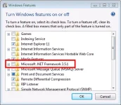CheckNET351.webp
