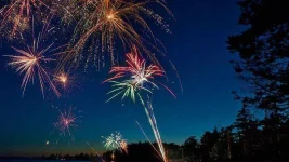 fireworks-wild-birds-one-health-uc-davis.webp